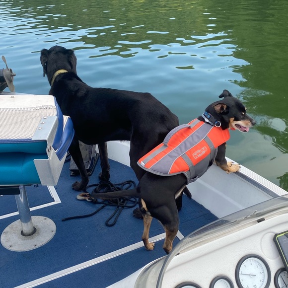 Meet your Posher, Otto - Picture 15 of 16